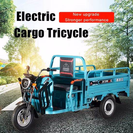 China Factory Electric Rickshaw Adult Passenger Tricycle Tuk Tuk