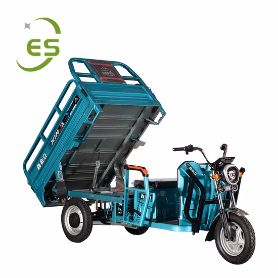 China Factory Electric Rickshaw Adult Passenger Tricycle Tuk Tuk