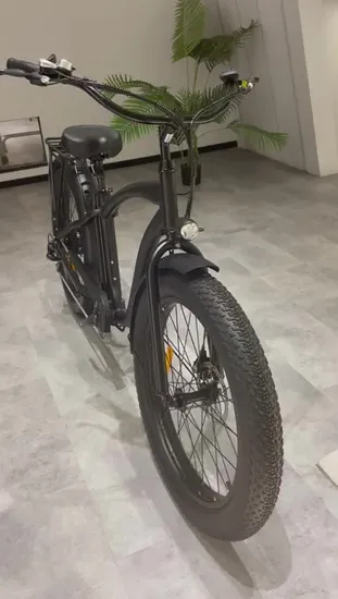 China 750W Fat Tire Electric Bicycle Ebike for Man with Full Suspension