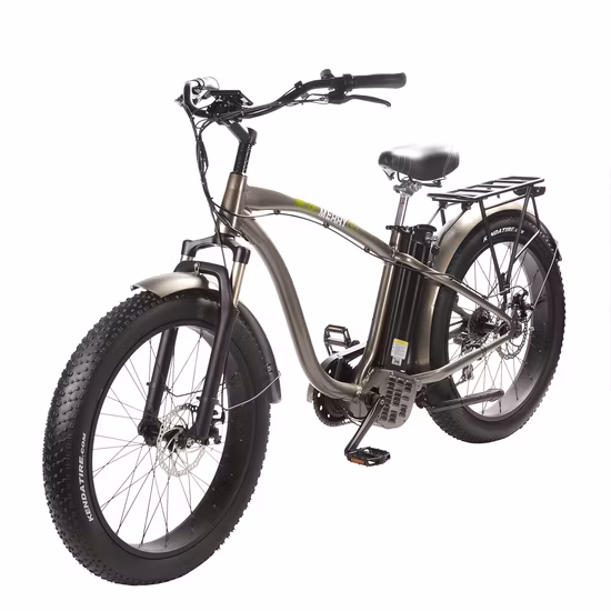 China 750W Fat Tire Electric Bicycle Ebike for Man with Full Suspension