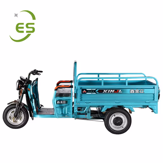 China Factory Electric Rickshaw Adult Passenger Tricycle Tuk Tuk