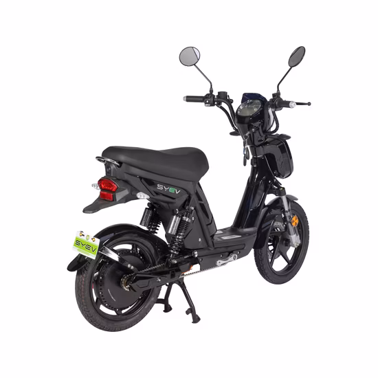 Syev EEC Electric Scooter for Adult with 800W Brushless DC Motor Shenyun
