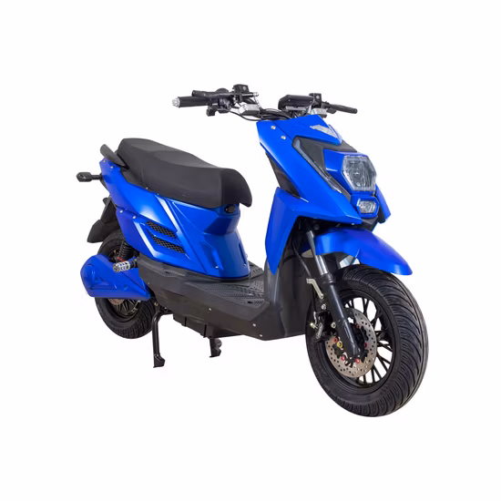Queene/48V 750W Hidden Battery Fat Tyre Electric E